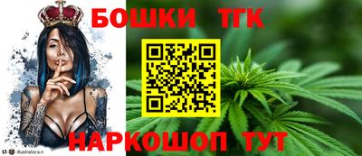 spice Дубна