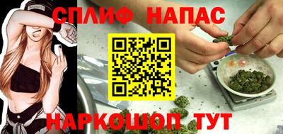 spice Дубна