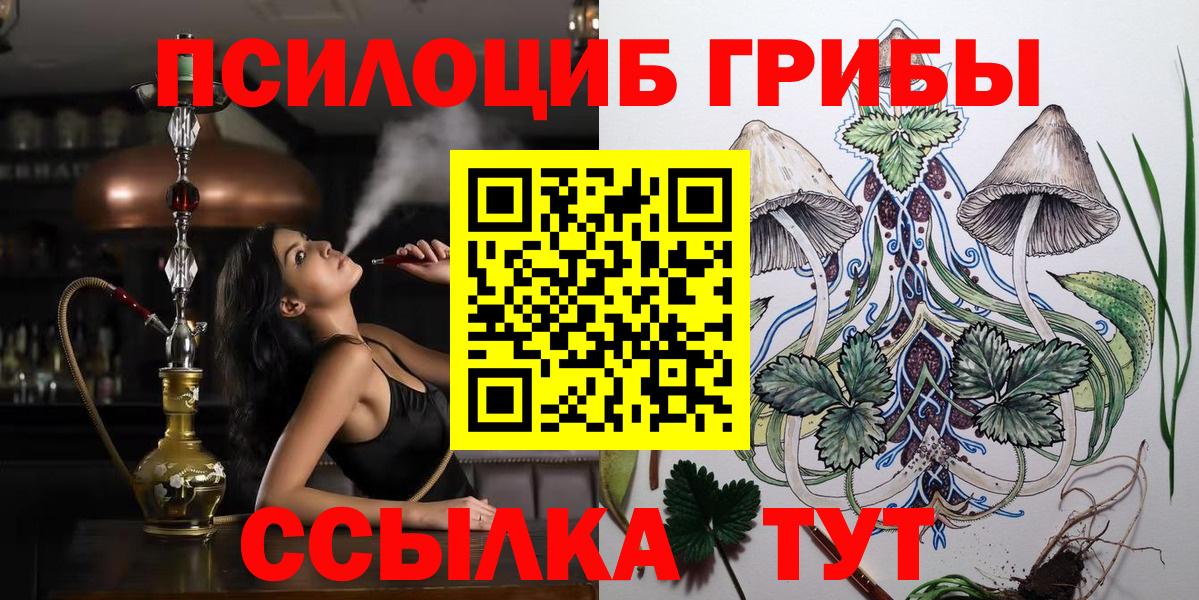 купить наркотики цена  Вход с VPN  Майкоп  Галлюциногенные грибы Magic Shrooms 